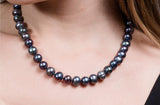 Single Strand Peacock Blue Freshwater Pearl Necklace 8mm-Pearl Rack